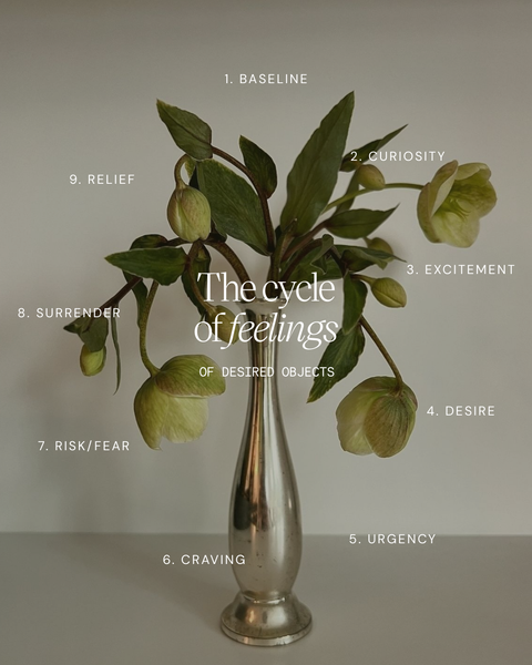 The Beautiful Journey of Desire